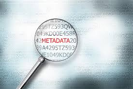 Google Metadata